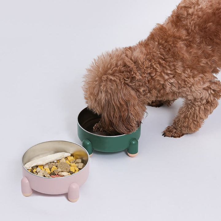 Stylish elevated dog feeder with anti-slip tetrapod base and removable stainless steel bowls