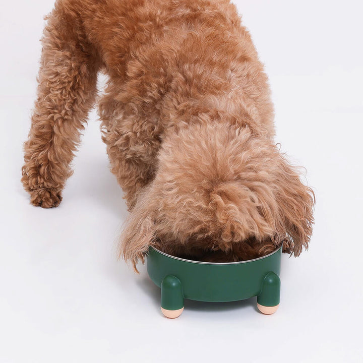 Stainless steel elevated feeding bowl for pets, featuring a stable tetrapod anti-slip design