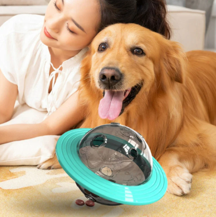 Interactive pet toy: chew-resistant dog puzzle with treat dispensing feature for enrichment