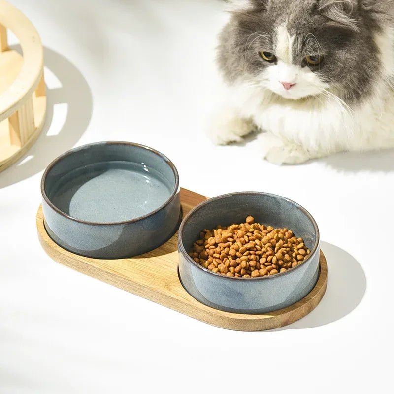 Stylish elevated cat bowl made of ceramic, sitting securely on a modern wooden feeder stand.