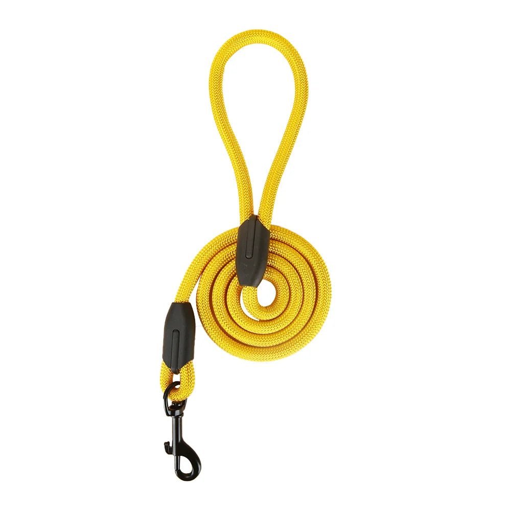 Ergonomic dog leash with padded handle for optimal control and comfort during pet walking