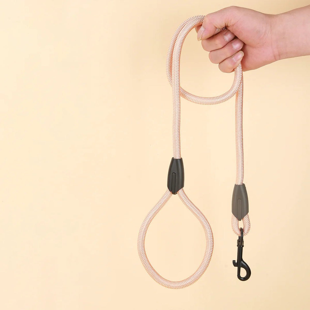 Close-up of ergonomic dog leash handle, showing soft padding and secure grip for pet owners