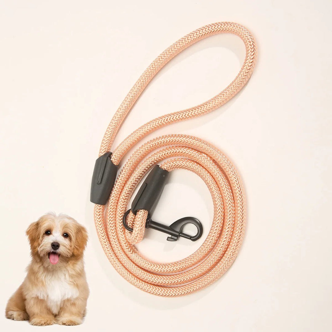 Stylish blue ergonomic dog leash, perfect for comfortable pet walking and control in any weather