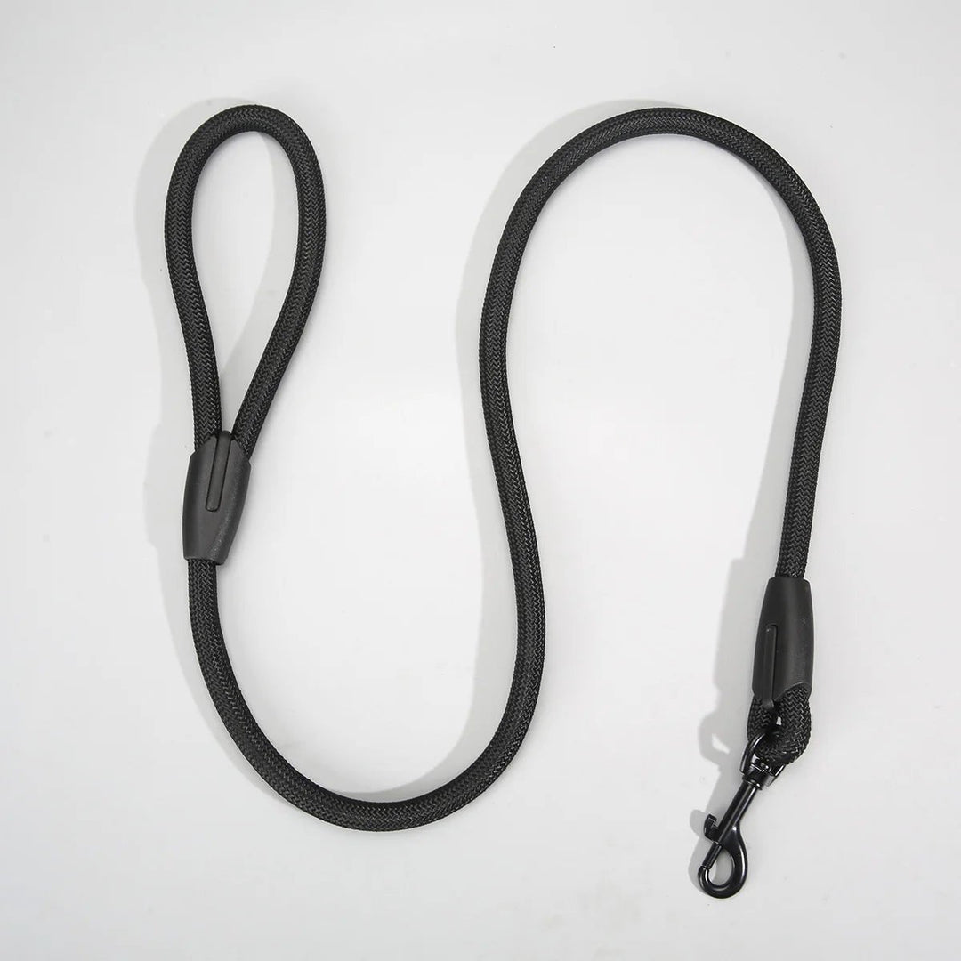 Dog walking with an ergonomic leash, demonstrating optimal control and pet comfort on a trail