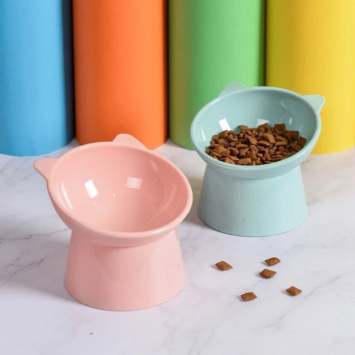 Stylish elevated pet feeder featuring two ergonomic slanted bowls, perfect for small dogs & cats