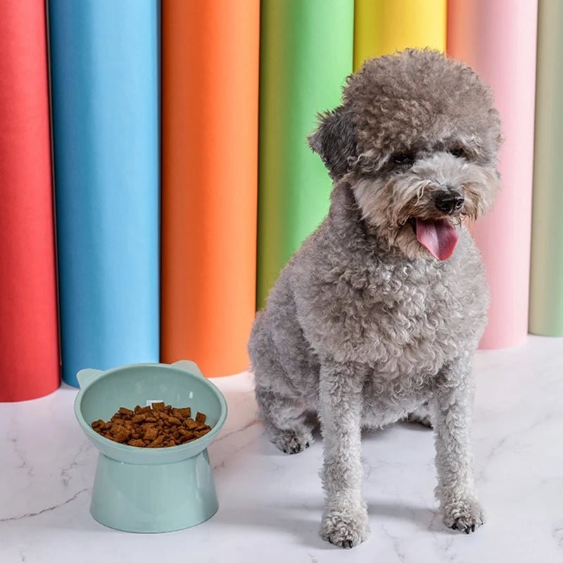 Easy-clean black ergonomic elevated pet feeder with slanted bowls, ideal for small animal feeding