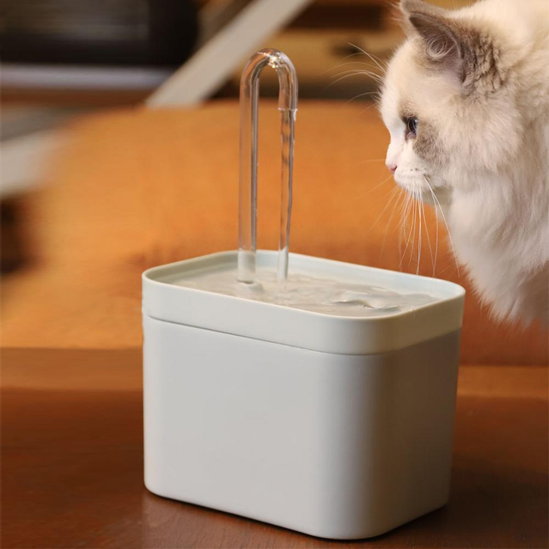 Ergonomic gray elevated cat feeding bowl with ceramic dish on a wooden surface.