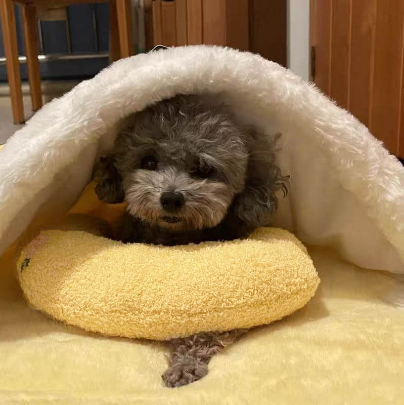 Dog bed and cat bed combined: ergonomic U-shaped pet calming pillow made from soft mohair