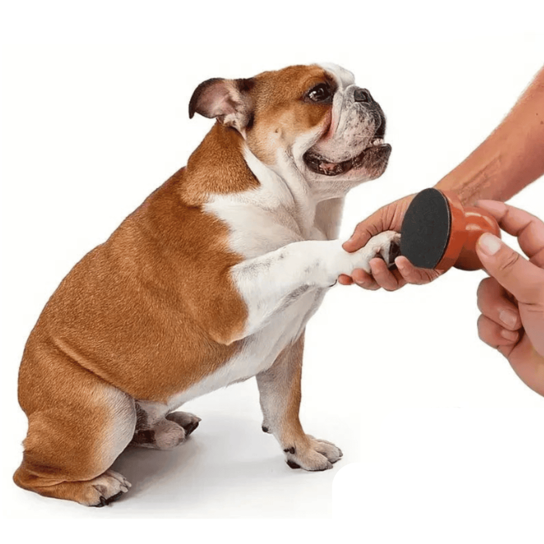 Ergonomic wooden pet nail file for stress-free dog and cat grooming and nail care