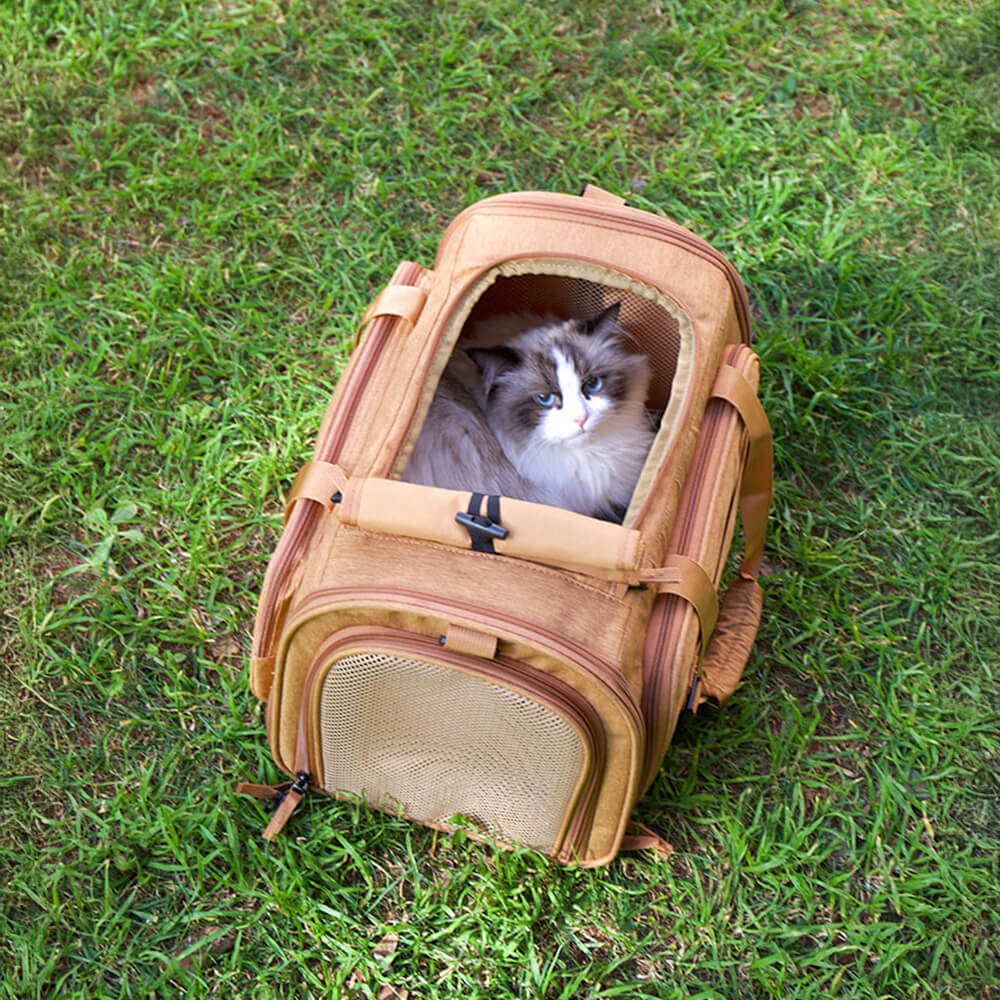 Pet travel bag in car seat, secured with seatbelt, showing well-ventilated design for small pets