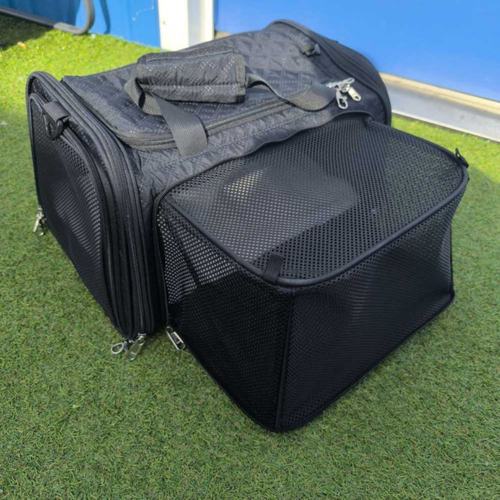 Expandable soft-sided pet carrier for small dog or cat travel, airline approved, black
