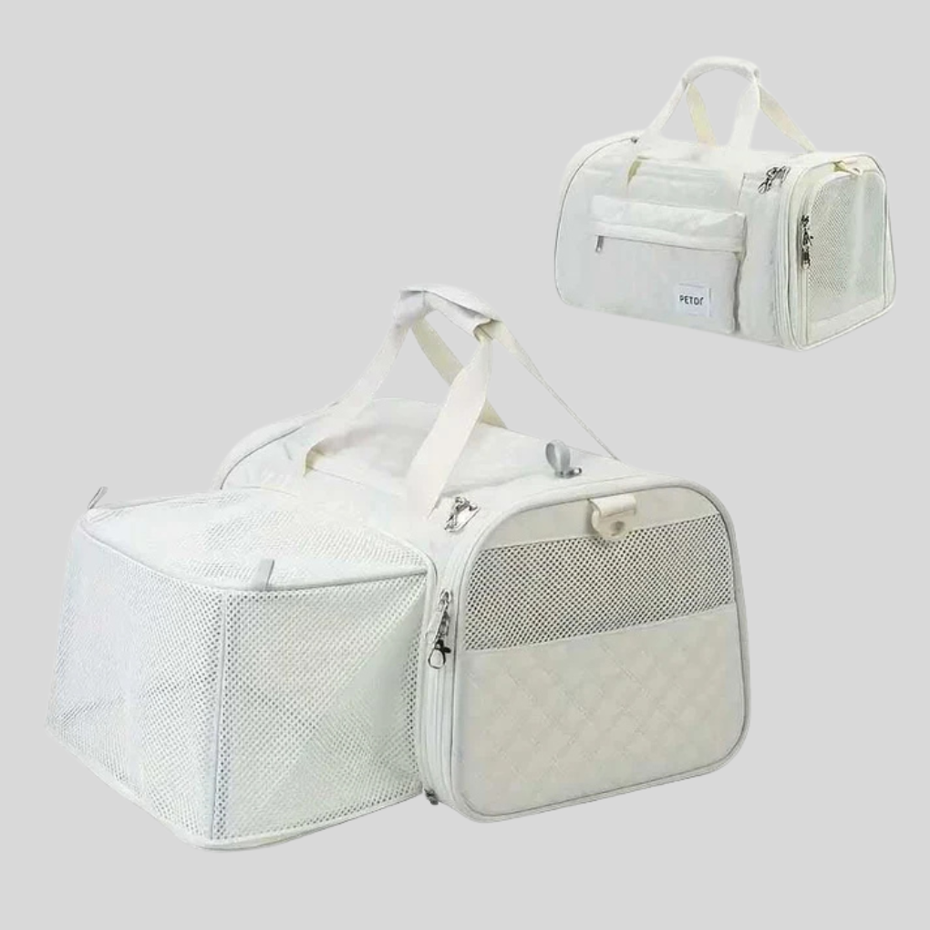 Pet accessory: Airline approved expandable pet carrier, perfect for small dog or cat travel