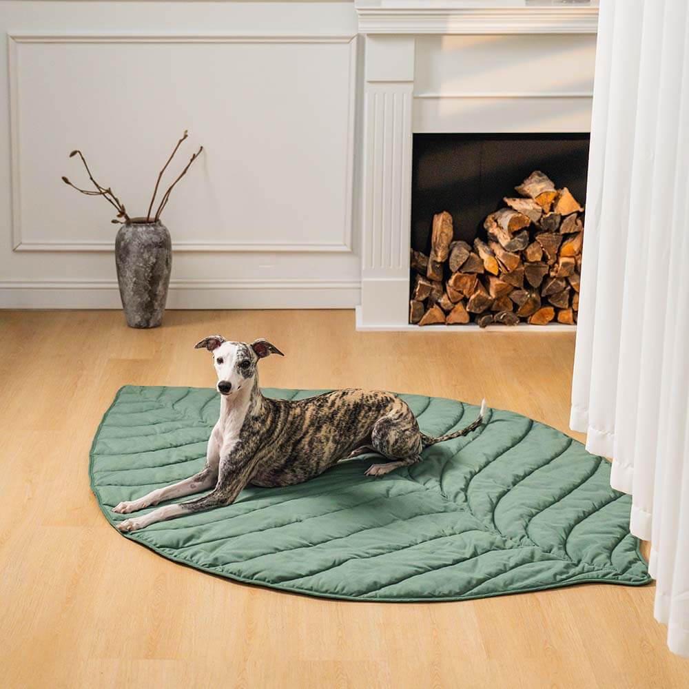 Extra large leaf shape pet and human mat, comfortable dog blanket in green, unisex pet bed for home decor.