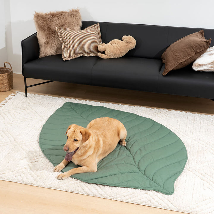 A decorative extra large leaf shape pet and human mat, comfortable dog blanket, washable pet accessory.