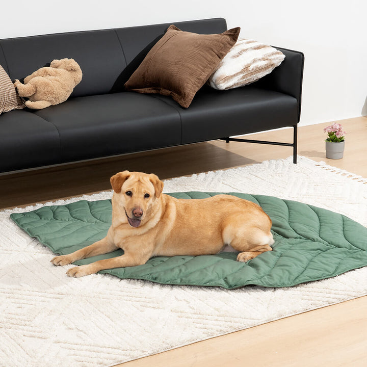 Leaf shape pet bed, extra large size, comfortable dog blanket, unisex design, complements home decor.