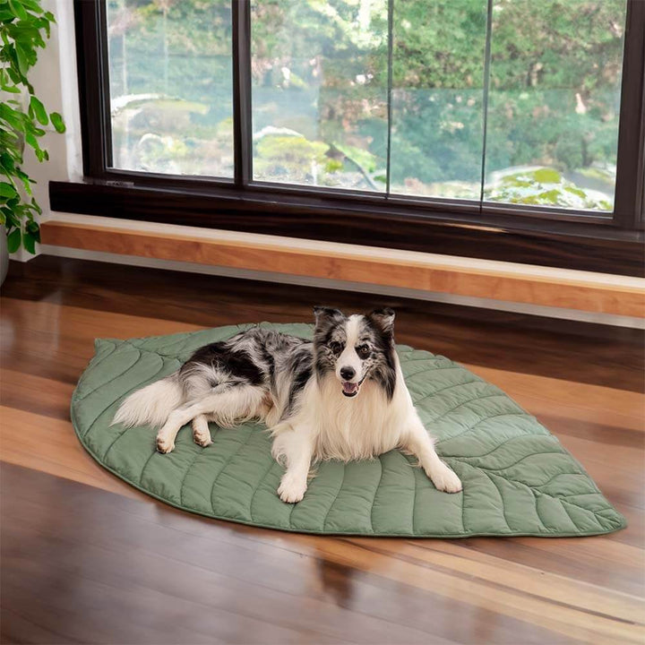 Green leaf shape pet bed, extra large dog blanket, comfortable mat for pets and humans, washable home decor.