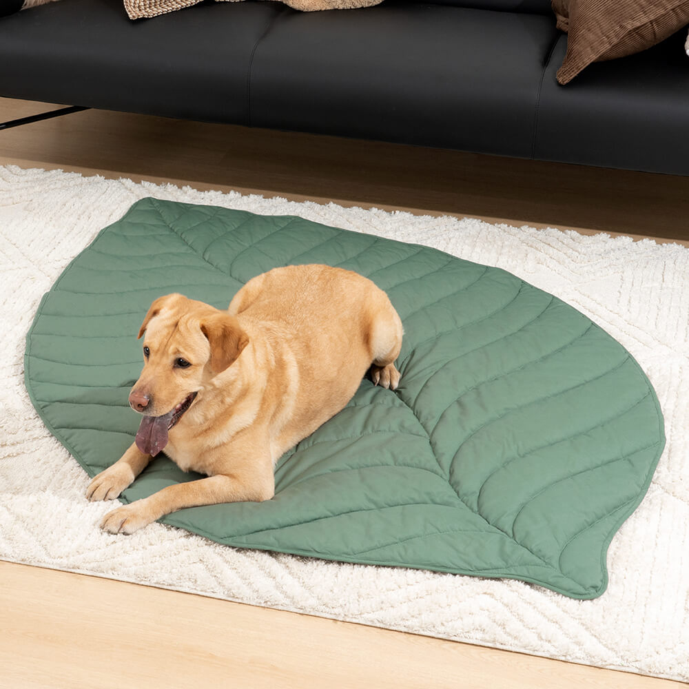 Green leaf shape dog blanket, extra large pet mat for humans & pets, comfortable unisex home decor item.