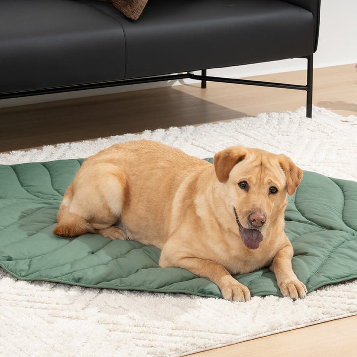 Stylish leaf shape pet bed, extra large dog mat, comfortable and washable for both pets and humans.