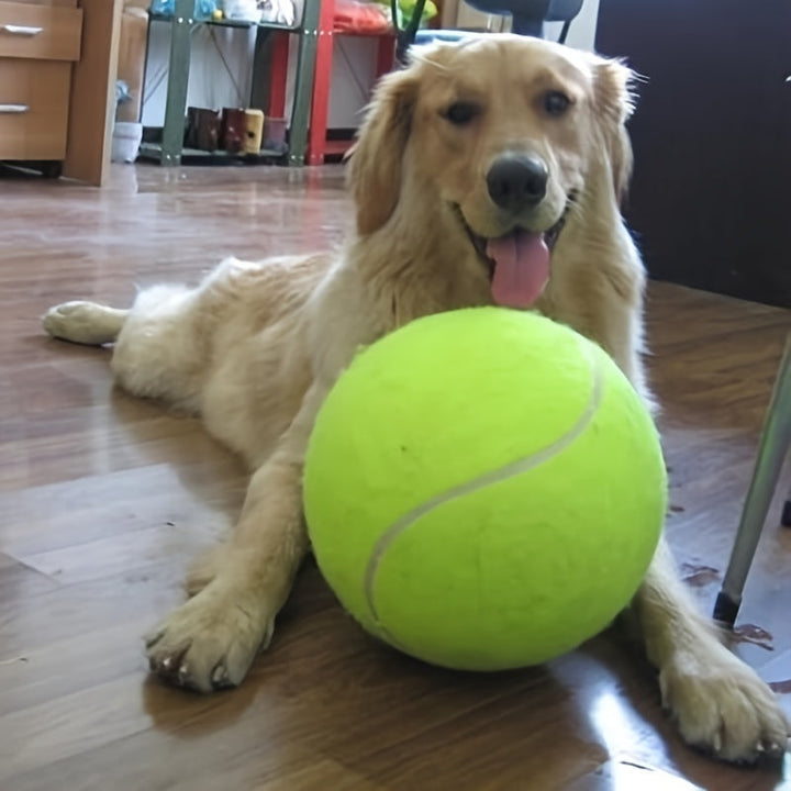 Extra large yellow tennis ball dog toy for large breeds, durable rubber for outdoor fetch and pet exercise.