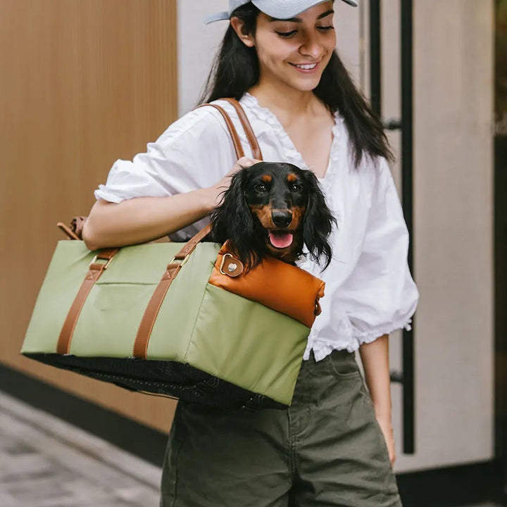Pet travel accessory, faux leather carrier and car seat, perfect for small dog or cat comfort in car.