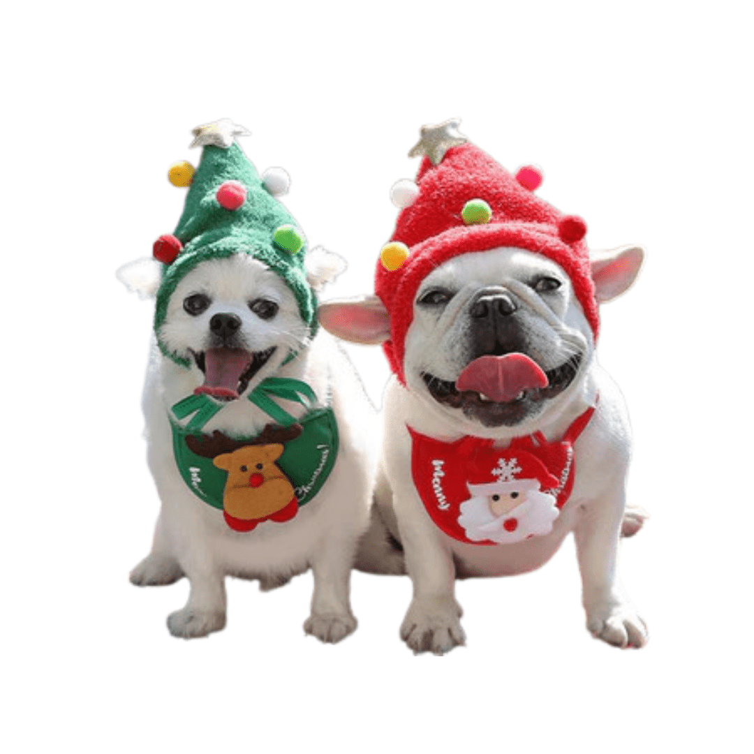 Cute dog Christmas bathing hat in red with white trim, paired with a matching festive bib.