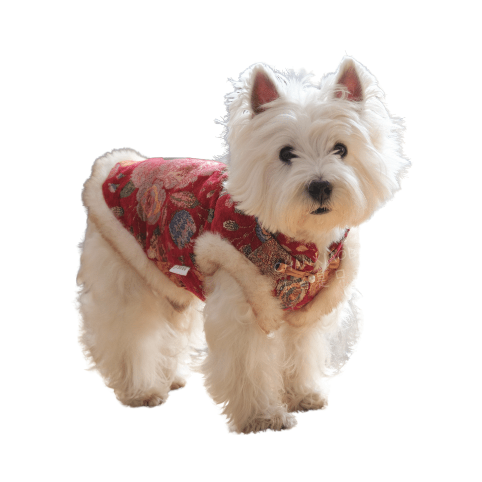 Festive holiday dog vest for celebrations, red with snowflake design, comfortable pet apparel.