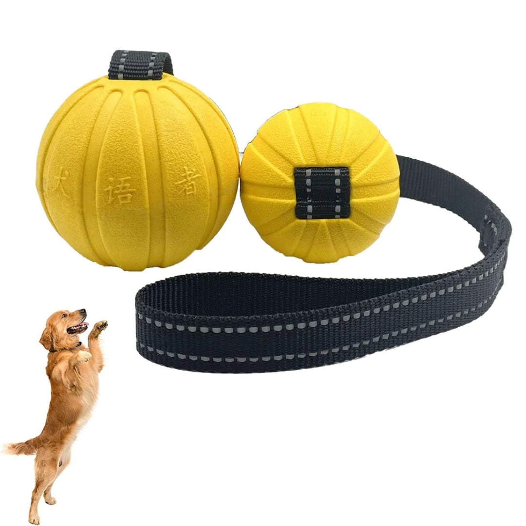 Floating foam dog toy ball with rope, perfect for water play and fetching fun