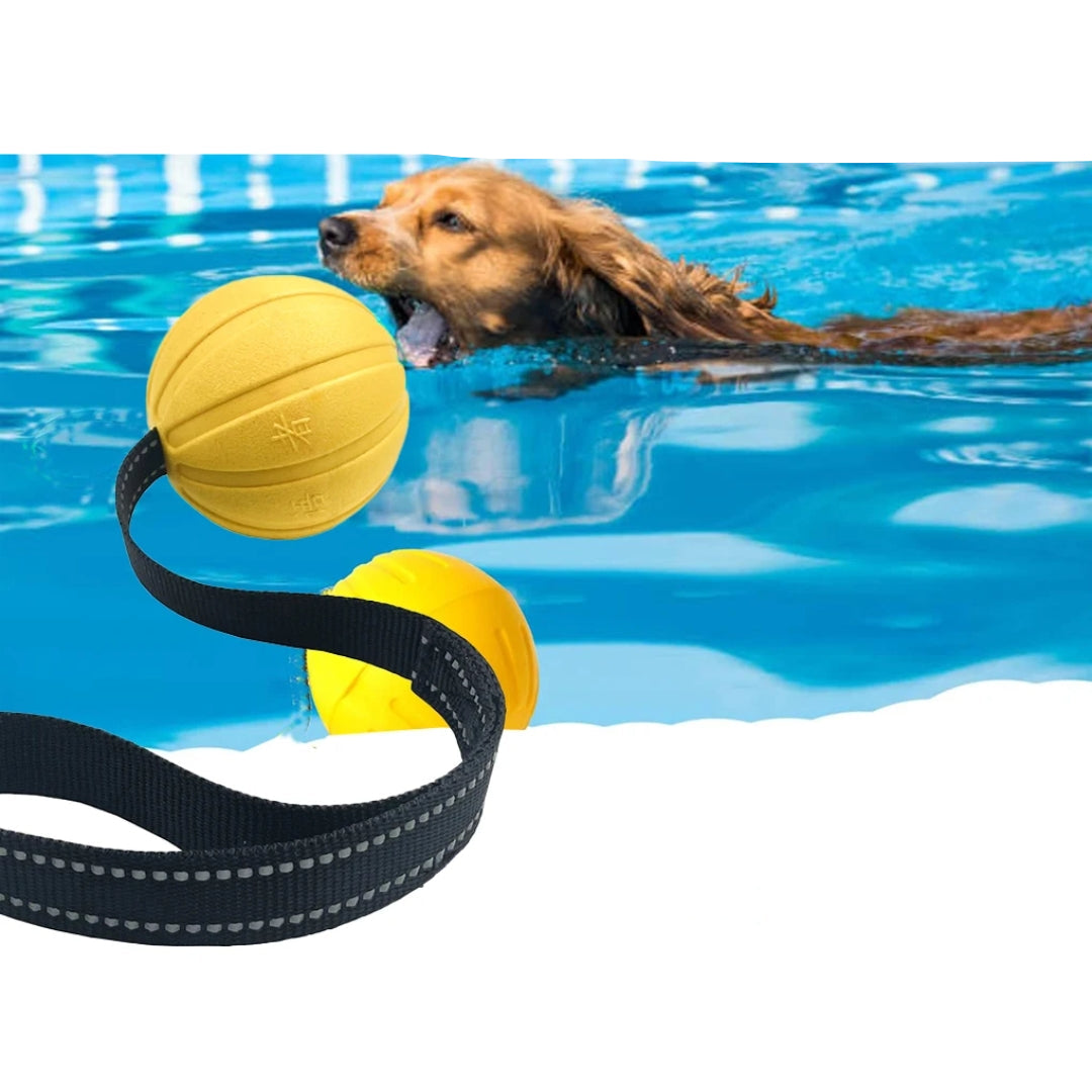 Interactive chew & fetch foam dog ball for water training and outdoor pet fun