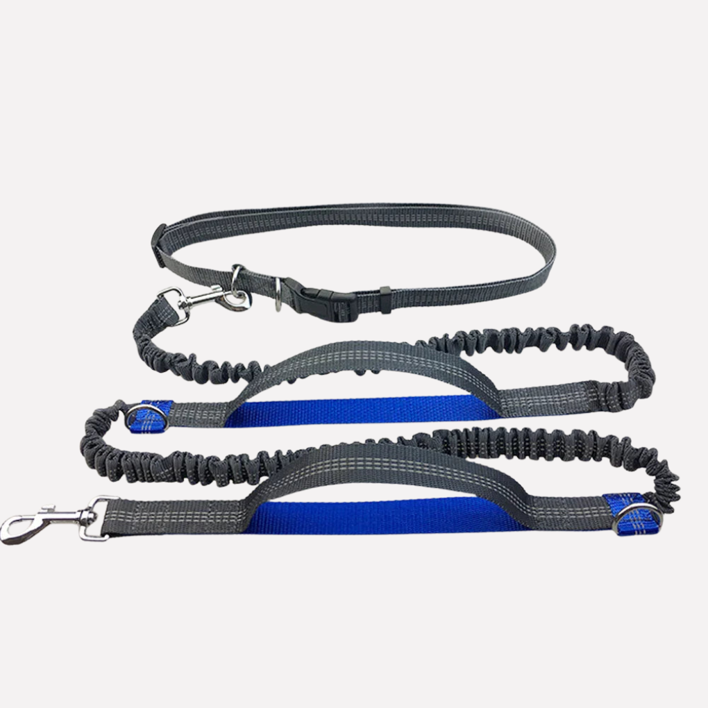 Fluorescent light blue hands-free bungee dog running leash for comfortable outdoor pet activity