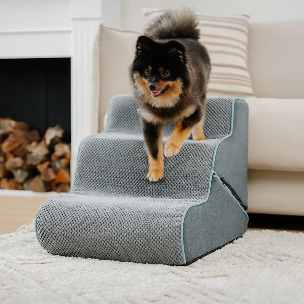 Small dog descending 2-in-1 pet stairs, demonstrating safe and easy mobility with orthopedic foam.