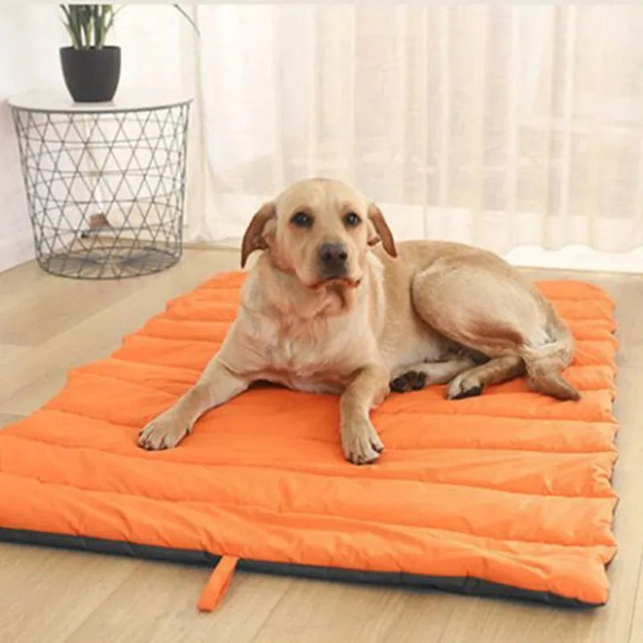 Foldable green outdoor waterproof pet travel mat for camping dogs, easy to clean, durable pet supplies.