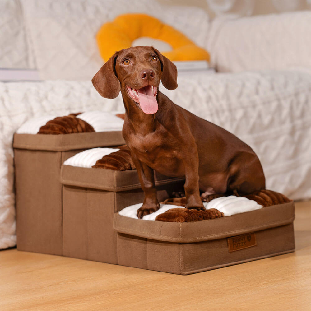 Small dog climbing foldable pet stairs with built-in storage, ideal for elderly pets and joint support.