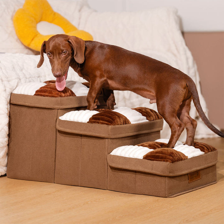 Folded pet stairs with storage, showcasing space-saving design for small dog owners.