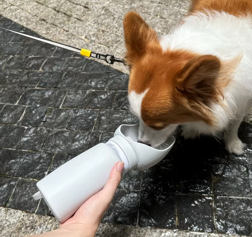 Foldable pet water bottle with integrated bowl, blue, for dog travel hydration