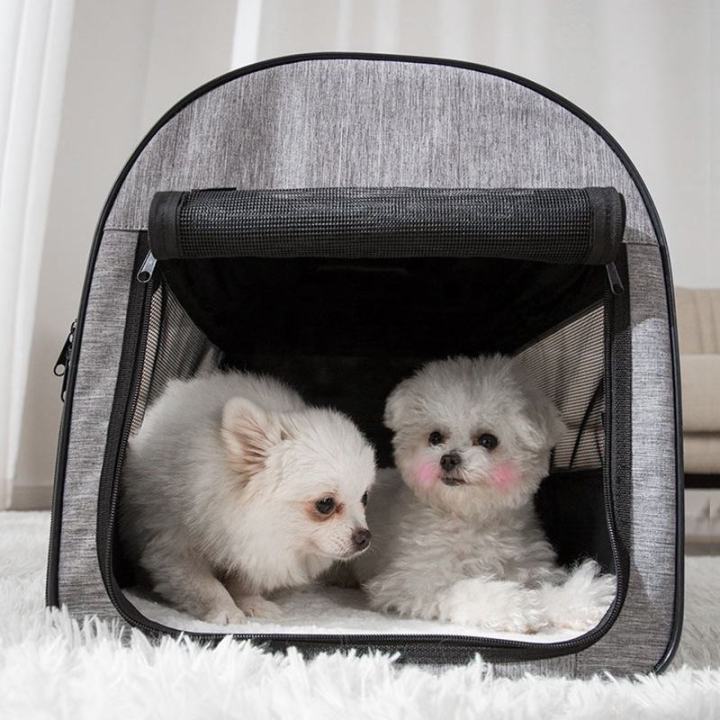 Foldable soft-sided dog car carrier for safe pet travel, with mesh windows.