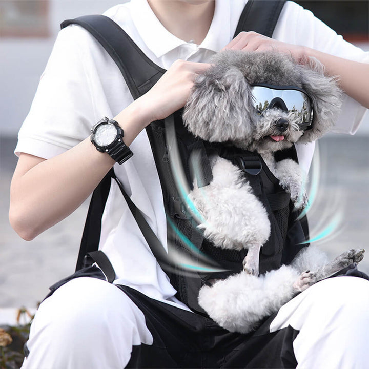 Adjustable front backpack dog carrier, showing a pet looking out comfortably, ideal for travel and outdoors.