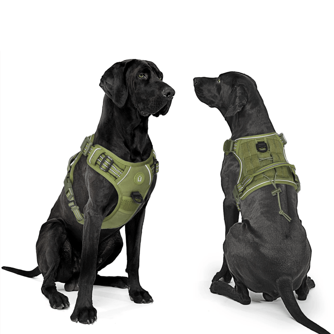 Front view of black tactical no-pull dog harness with MOLLE, for medium to large dogs.