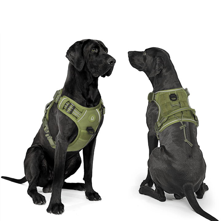 Front view of black tactical no-pull dog harness with MOLLE, for medium to large dogs.