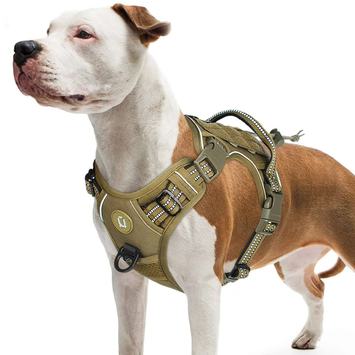 Side profile of a large dog wearing adjustable tactical MOLLE harness, showing no-pull front clip.