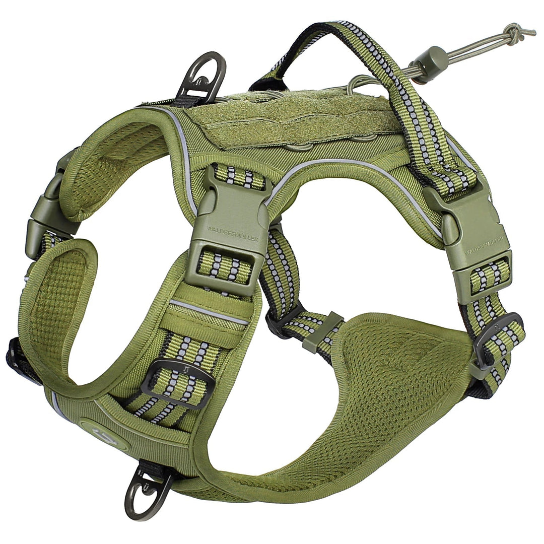 Dog owner attaching leash to the front D-ring of a tactical no-pull dog harness.