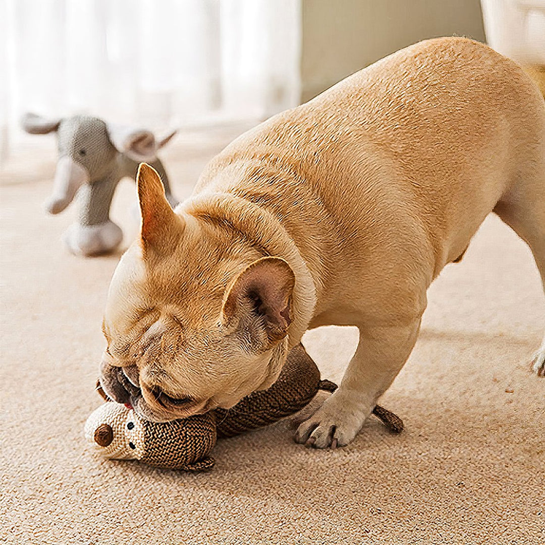 Funny squeaky animal plush dog toy, durable pet chew toy for interactive play