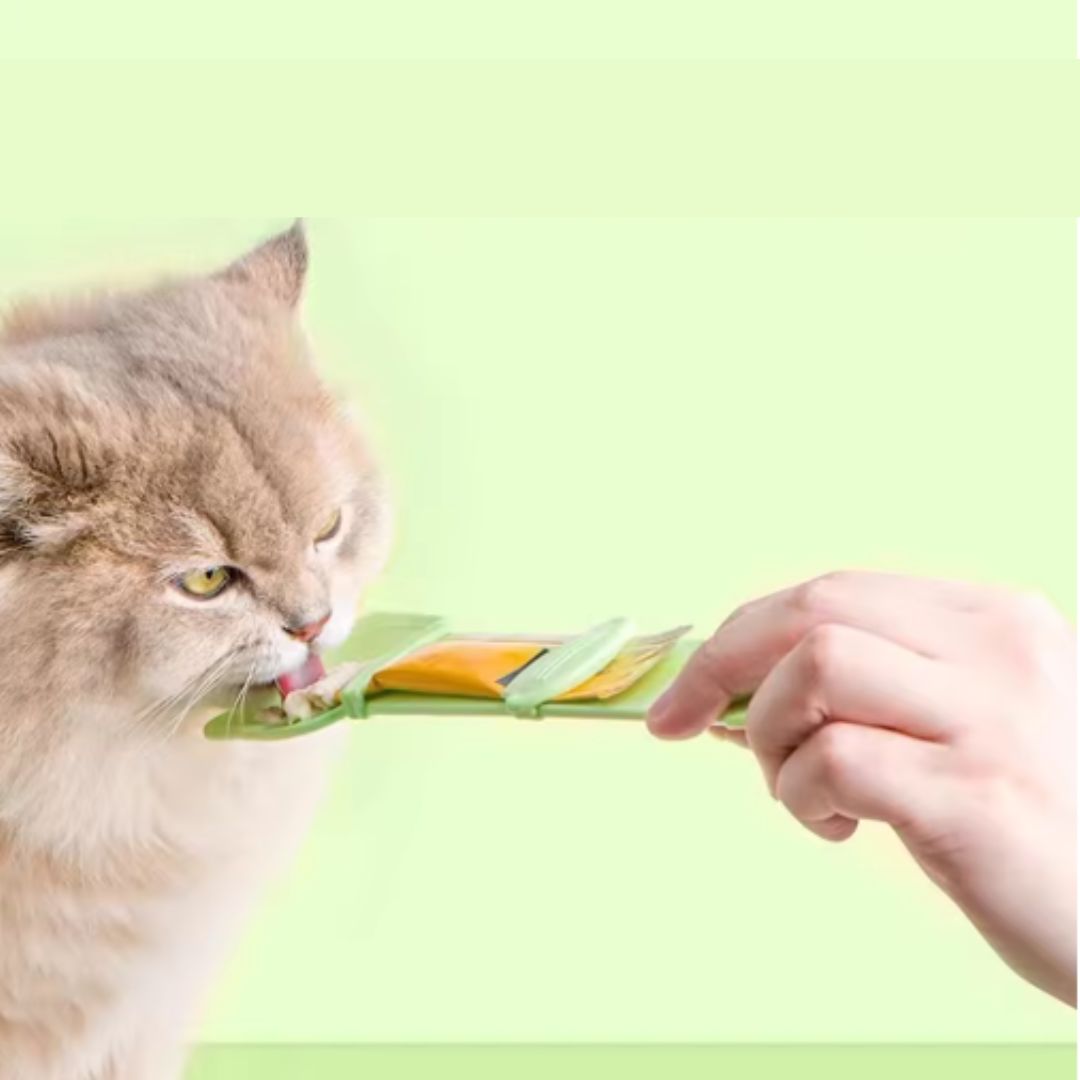 Ergonomic cat treat feeder aid for pet owners, ensuring clean and easy feeding