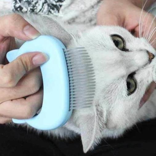 Gentle cat grooming brush with soft silicone bristles for comfortable pet massage and effective hair removal