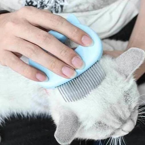 Feline accessories: a gentle grooming massage brush in vibrant blue for cats to enjoy daily care