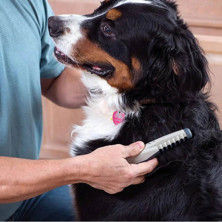 Quiet, gentle pet fur trimmer for stress-free dog & cat grooming. Ideal for sensitive pets, promoting healthy coat care.