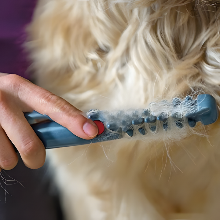 Soft detangler grooming brush for cats & dogs. Reduces shedding, promotes healthy, tangle-free fur.