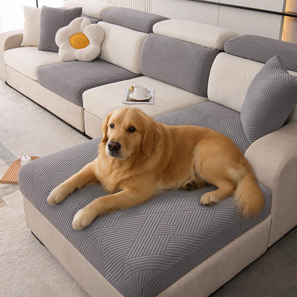 Geometric jacquard stretch sofa cover in a living room, protecting furniture from pets.