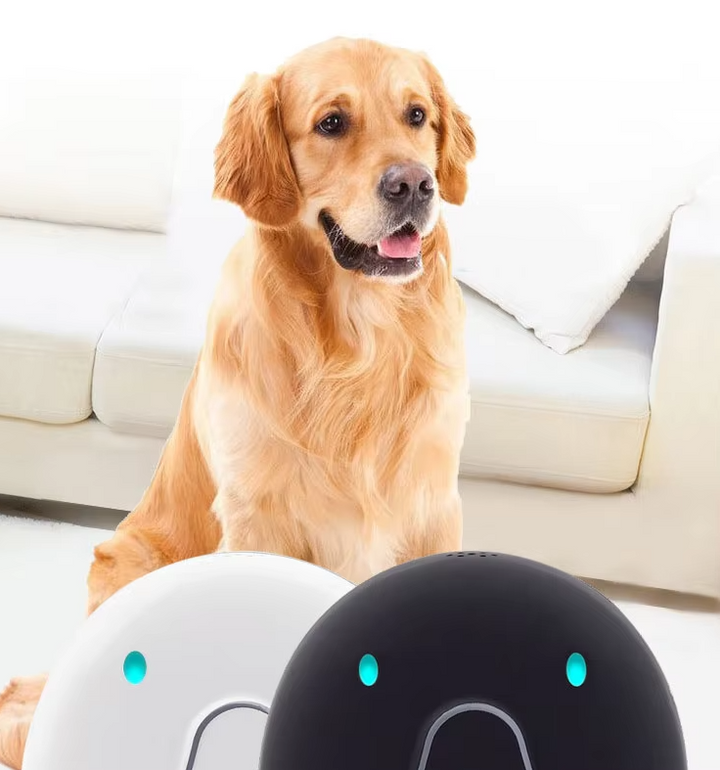 Close-up of GPS dog tracker module on collar, highlighting small size & durability