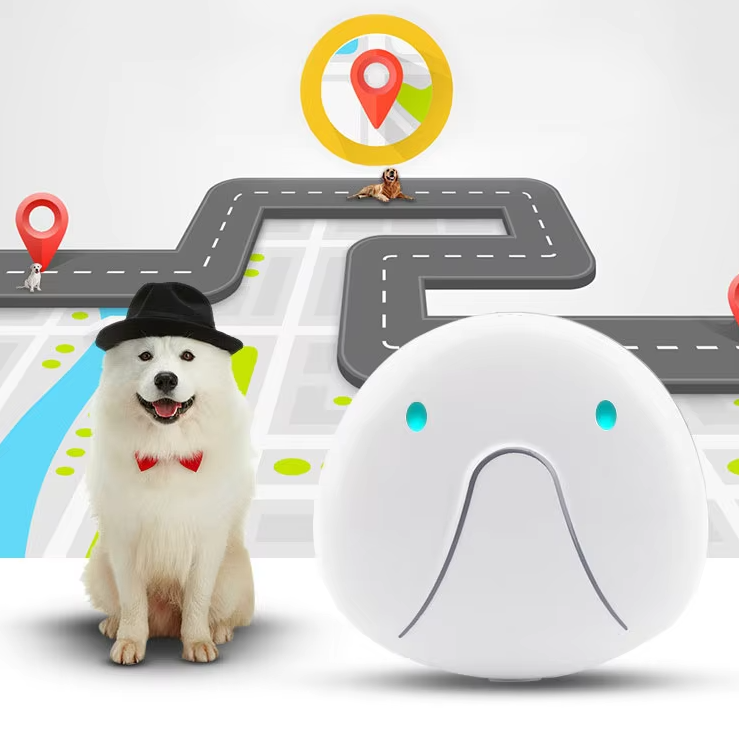 Hand holding a GPS dog tracker collar, emphasizing its lightweight design