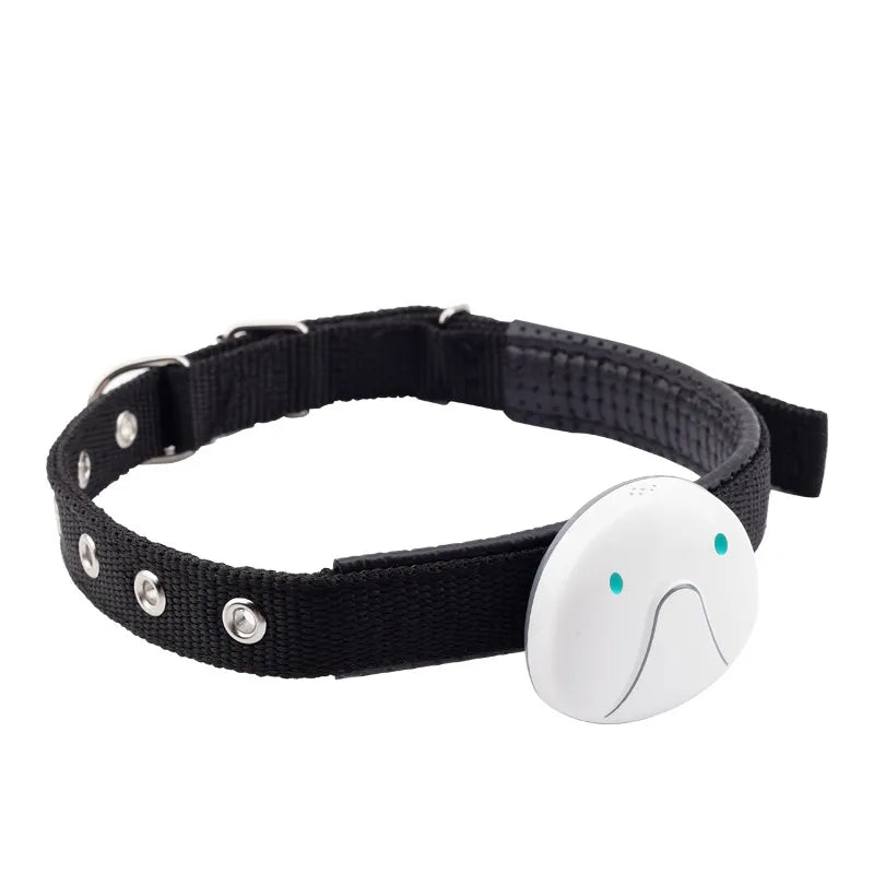 GPS dog tracker collar glowing, indicating active tracking and battery status